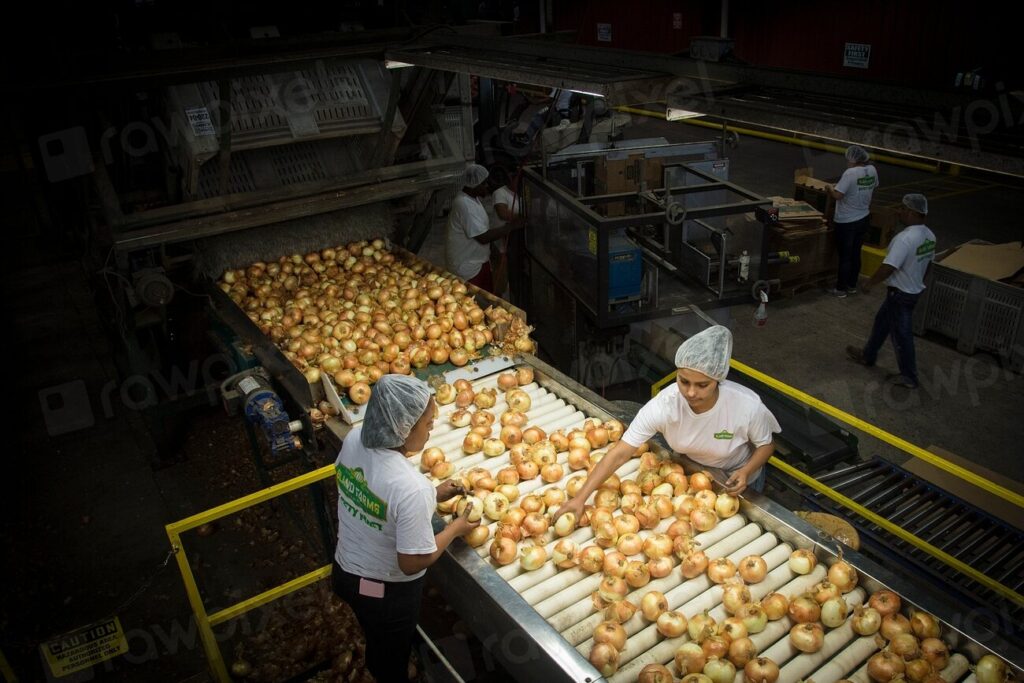 Deshidratación industrial de alimentos: 8 procesos que debes conocer